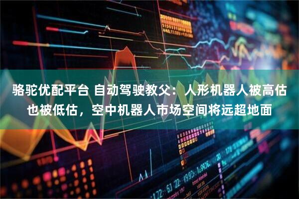 骆驼优配平台 自动驾驶教父：人形机器人被高估也被低估，空中机器人市场空间将远超地面