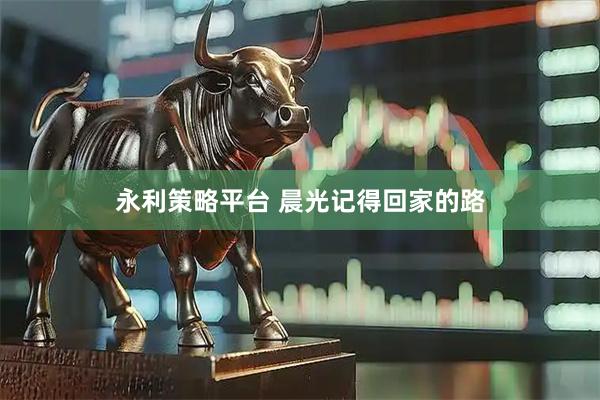 永利策略平台 晨光记得回家的路